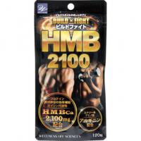 ＿ ビルドファイトHMB2100 120粒