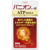 兴和新药 由新陈代谢引起的各种症状 パニオンコーワ片 90片
