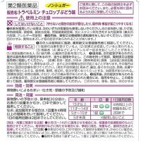 エーザイ 5岁以上儿童用 晕车 晕机 晕船 トラベルミン チュロップぶどう味 6片