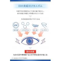 千寿制药 泪眼 充血 マイティアアイテクト 15ML