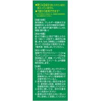 武田制药 鼻水 鼻塞 点鼻液 コールタイジン点鼻液A 15ML