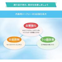 佐藤制药 痔疮 出血 内服用ジーフォー 24片