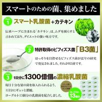 イムノス 双歧杆菌 健康辅助食品 SVELTY スマート菌 120粒