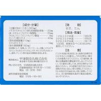 宇津救命丸 1-7岁儿童用 止咳 宇津こどもせきどめ 12包