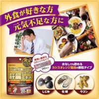 オリヒロプランデュ 护肝 护内脏 しじみ牡蠣ウコンの入った肝脏エキス颗粒 1.5G×20包