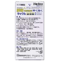 日本脏器制药 腰痛 神经痛 关节痛等 ラックル 24片