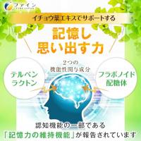 ファイン 健康辅助食品 健忘 银杏叶提取素 维持记忆力 いちょう叶エキス粒 90粒