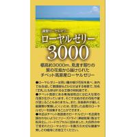 オリヒロプランデュ 蜂王浆 保健品 ローヤルゼリー3000 90粒