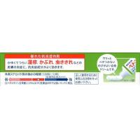 第一三共ヘルスケア 皮肤炎 湿疹 瘙痒 软膏 ベトネベートクリームS 10G